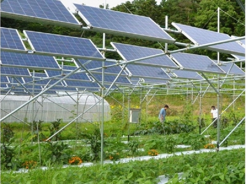 Lắp đặt điện mặt trời cho trang trại